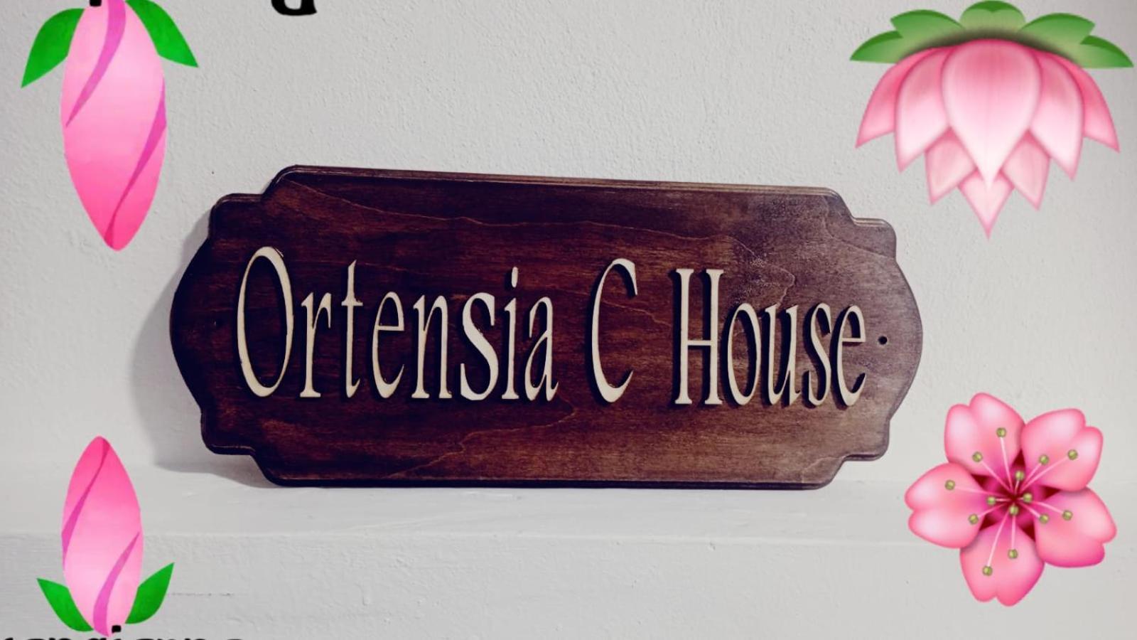 Вілла Ortensia C House Катанія Екстер'єр фото